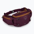 Dviračio krepšys Osprey Savu 5 aprium purple 2