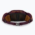 Dviračio krepšys Osprey Savu 5 aprium purple 3