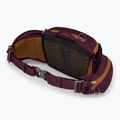 Dviračio krepšys Osprey Savu 5 aprium purple 4