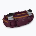 Dviračio krepšys Osprey Savu 5 aprium purple 5