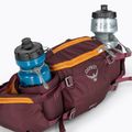 Dviračio krepšys Osprey Savu 5 aprium purple 7