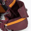 Dviračio krepšys Osprey Savu 5 aprium purple 9