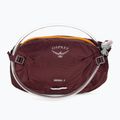 Dviračio rankinė ant juosmens Osprey Seral 4 l su gertuve  1.5 l aprium purple