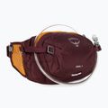 Dviračio rankinė ant juosmens Osprey Seral 4 l su gertuve  1.5 l aprium purple 2