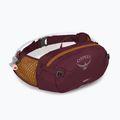 Dviračio rankinė ant juosmens Osprey Seral 4 l su gertuve  1.5 l aprium purple 6