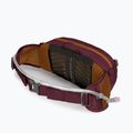 Dviračio rankinė ant juosmens Osprey Seral 4 l su gertuve  1.5 l aprium purple 7