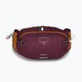 Dviračio rankinė ant juosmens Osprey Seral 4 l su gertuve  1.5 l aprium purple 9