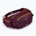 Dviračio krepšys Osprey Seral 7 l su gertuve 1.5 l aprium purple 2