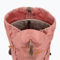 Miesto kuprinė Osprey Daylite Cinch 15 l ash blush pink/earl grey 4