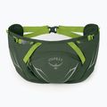 Rankinė ant juosmens Osprey Duro Dyna 2 l seaweed green/limon