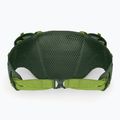 Rankinė ant juosmens Osprey Duro Dyna 2 l seaweed green/limon 3