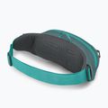 "Osprey Daylite" juosmens krepšys jetstream blue/cascade blue 3