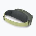 Rankinė ant juosmens Osprey Daylite Waist rattan print/rocky brook 3