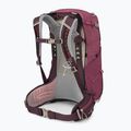 Moteriška turistinė kuprinė Osprey Sirrus 24 l elderberry purple / chiru tan 2