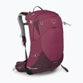 Moteriška turistinė kuprinė Osprey Sirrus 24 l elderberry purple / chiru tan 3