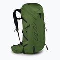 Vyriška žygio kuprinė Osprey Talon 36 l (S-M) green belt/black