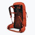 Vyriška žygio kuprinė Osprey Talon Pro 30 l mars orange 2