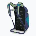 Miesto kuprinė Osprey Daylite 13 l blue spikemoss/ alkaline 2