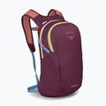 Miestinis kuprinė Osprey Daylite 13 l moody burgundy 2