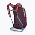 Miestinis kuprinė Osprey Daylite 13 l moody burgundy 4