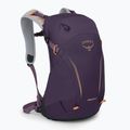 Turistinė kuprinė Osprey Hikelite 18 l purple ink / purple dusk / cheddar orange 3