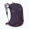 Turistinė kuprinė Osprey Hikelite 26 l purple ink/ purple dusk/ cheddar orange 2