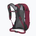 Turistinė kuprinė Osprey Hikelite 26 l chameleon/ black 4