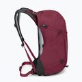 Turistinė kuprinė Osprey Hikelite 26 l chameleon/ black 5