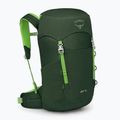 Vaikiška turistinė kuprinė Osprey Jet 18 l green canopy/ limeline green 3