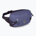 Rankinė ant juosmens Osprey Transporter Waist Pack 3 l euphoria 2