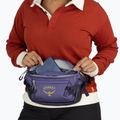 Rankinė ant juosmens Osprey Transporter Waist Pack 3 l euphoria 12