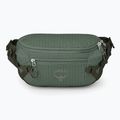 Rankinė ant juosmens Osprey Transporter Waist Pack 3 l pine leaf
