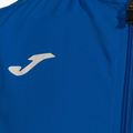 Vyriškas teniso kostiumas Joma Montreal royal blue/navy blue 3