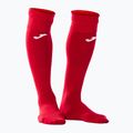 Vartininko rinkinys Joma Zamora VIII rojo 5