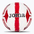 Futbolo kamuolys Joma Light dydis 5