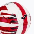 Futbolo kamuolys Joma Light dydis 5 3
