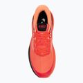 Vyriški bėgimo batai Joma Fenix coral 5