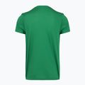 Vyriški bėgimo marškinėliai Joma Record III green 2