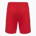 Vyriški teniso marškinėliai Joma Montreal red 2