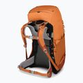 Vaikiška žygio kuprinė Osprey Ace 38 l orange sunset 6