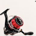 Daiwa Ninja Match juoda 10217-300 plūdinės žvejybos ritė 5
