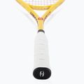 Skvošo raketė Harrow Vapor 110 yellow/navy/red 3