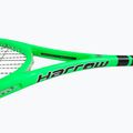 Skvošo raketė Harrow Vibe lime/black 8