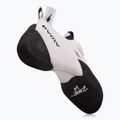 Laipiojimo batai Evolv Zenist LV gray/white 3