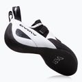 Vyriški laipiojimo batai Evolv Defy gray/ black 3
