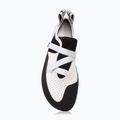 Moteriški laipiojimo batai Evolv Defy gray/ white 4