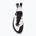 Vyriški laipiojimo batai Evolv Defy Lace gray/ black 6