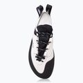 Vyriški laipiojimo batai Evolv Defy Lace gray/ black 2