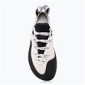 Moteriški laipiojimo batai Evolv Defy Lace gray/ white 2