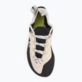 Moteriški laipiojimo batai Evolv Defy Lace gray/ white 5